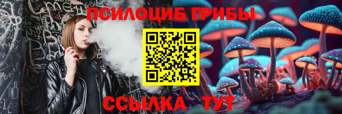 Псилоцибиновые грибы Magic Shrooms  Вход с VPN  Новошахтинск 